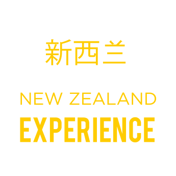 nz experience 2 logo