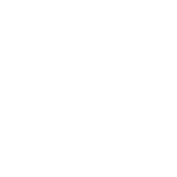 nz experience logo